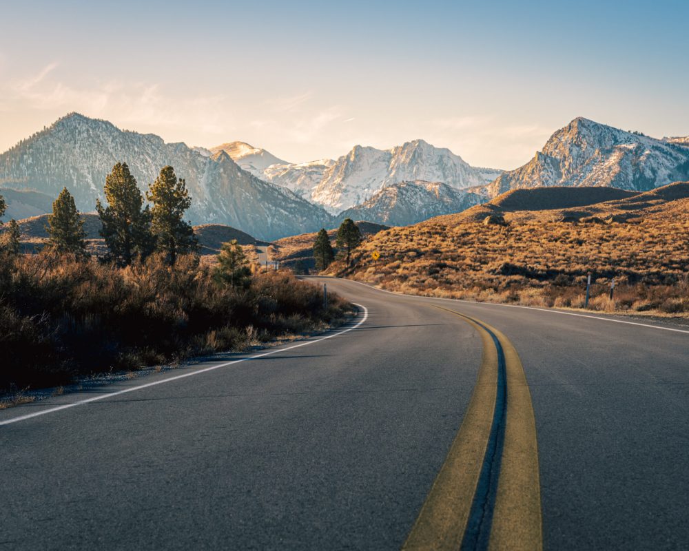 Magecon General Construction and Technical Services.